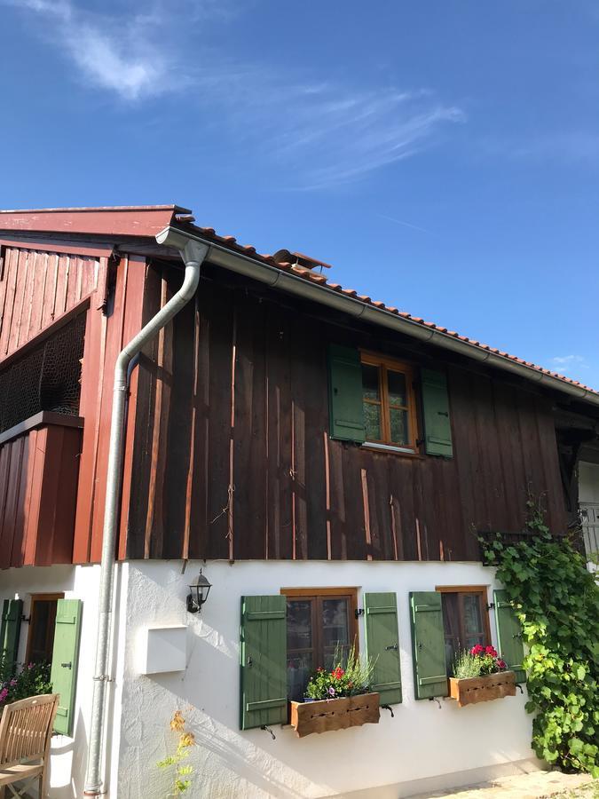Chalet Alpenrose Σβάνγκαου Εξωτερικό φωτογραφία