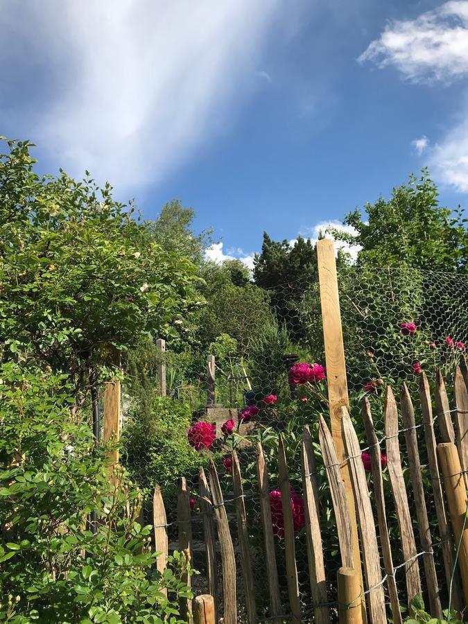 Chalet Alpenrose Σβάνγκαου Εξωτερικό φωτογραφία